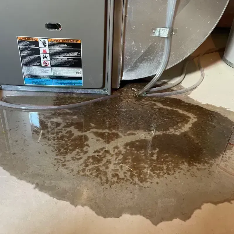 Appliance Leak Cleanup in Hartford, IL